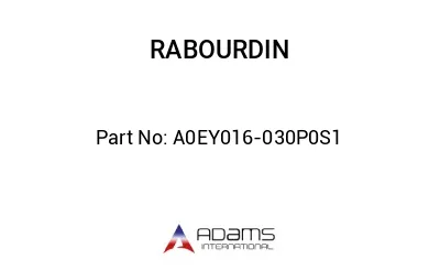 A0EY016-030P0S1
