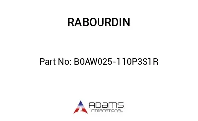 B0AW025-110P3S1R