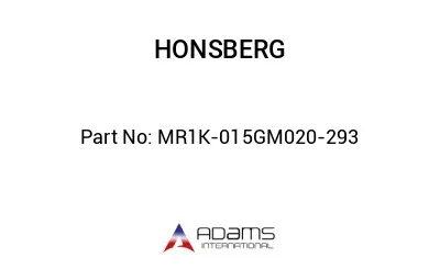 MR1K-015GM020-293 MR1K-015GM020-293